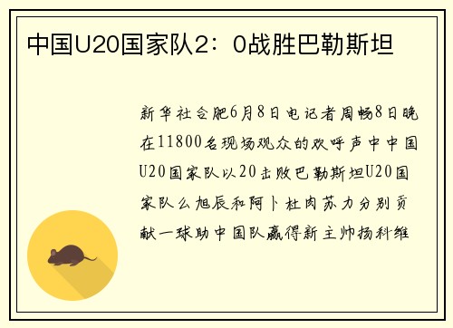 中国U20国家队2：0战胜巴勒斯坦
